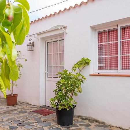 Villa Casa Unifamiliar Tejina Exterior foto